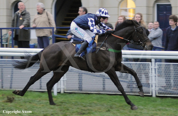 Bumper winner King Of Leon at Ludlow